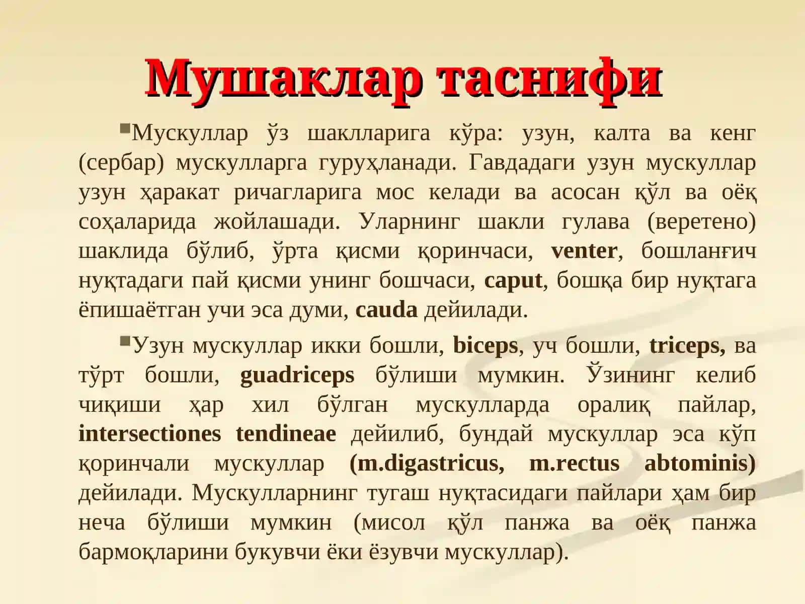 Мушаклар хакида таълимот – миология. Гавданинг орқа гуруҳ юза ва чуқур гуруҳ мушаклари.Уларнинг ёшга қараб ўзгариши 3