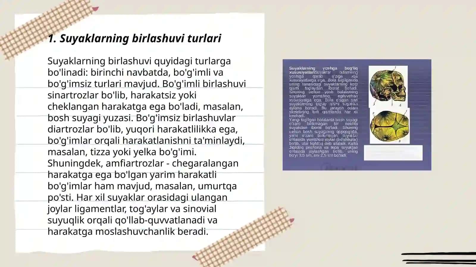 Suyaklarning oʻzaro birlashuvi- Artrologiya. Tana suyaklarining birlashuvi 3