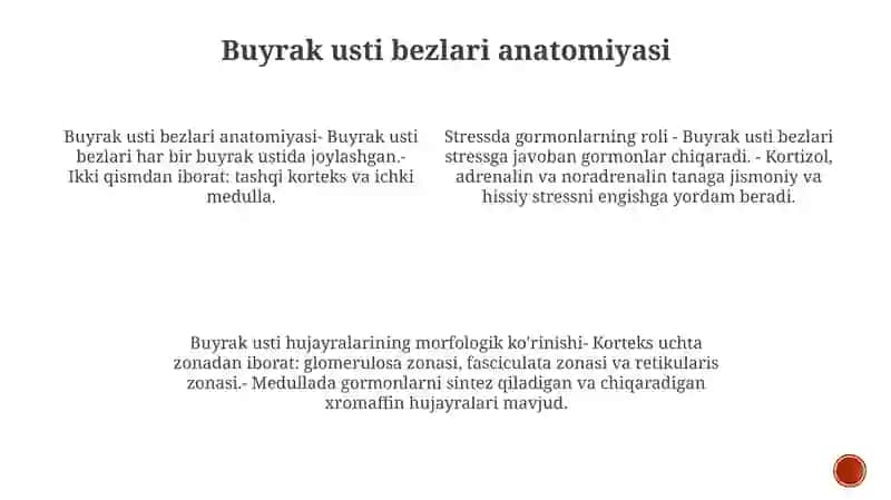 Buyrak Usti Bezlari 3