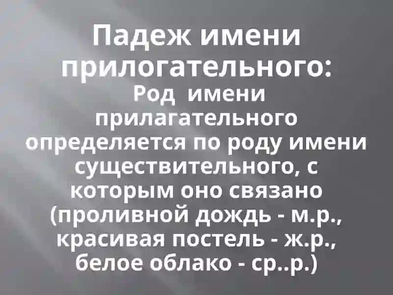 Падеж имени прилагательного 3