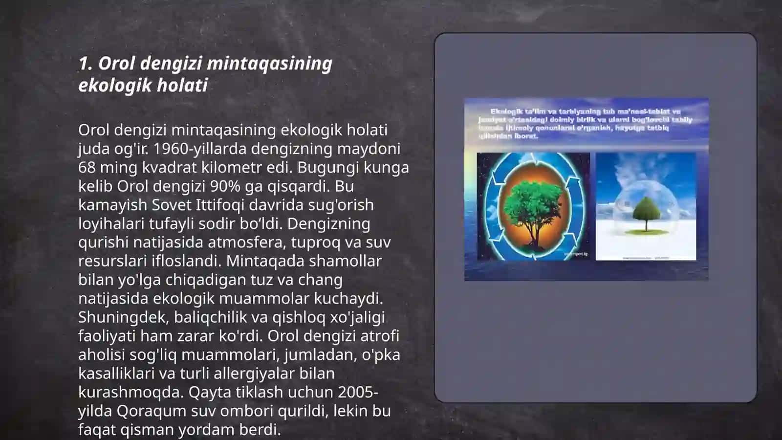 Orol dengizi mintaqasining ekologik holati 3