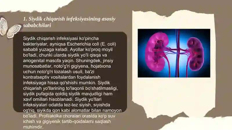 Siydik chiqarish infeksiyasi 3