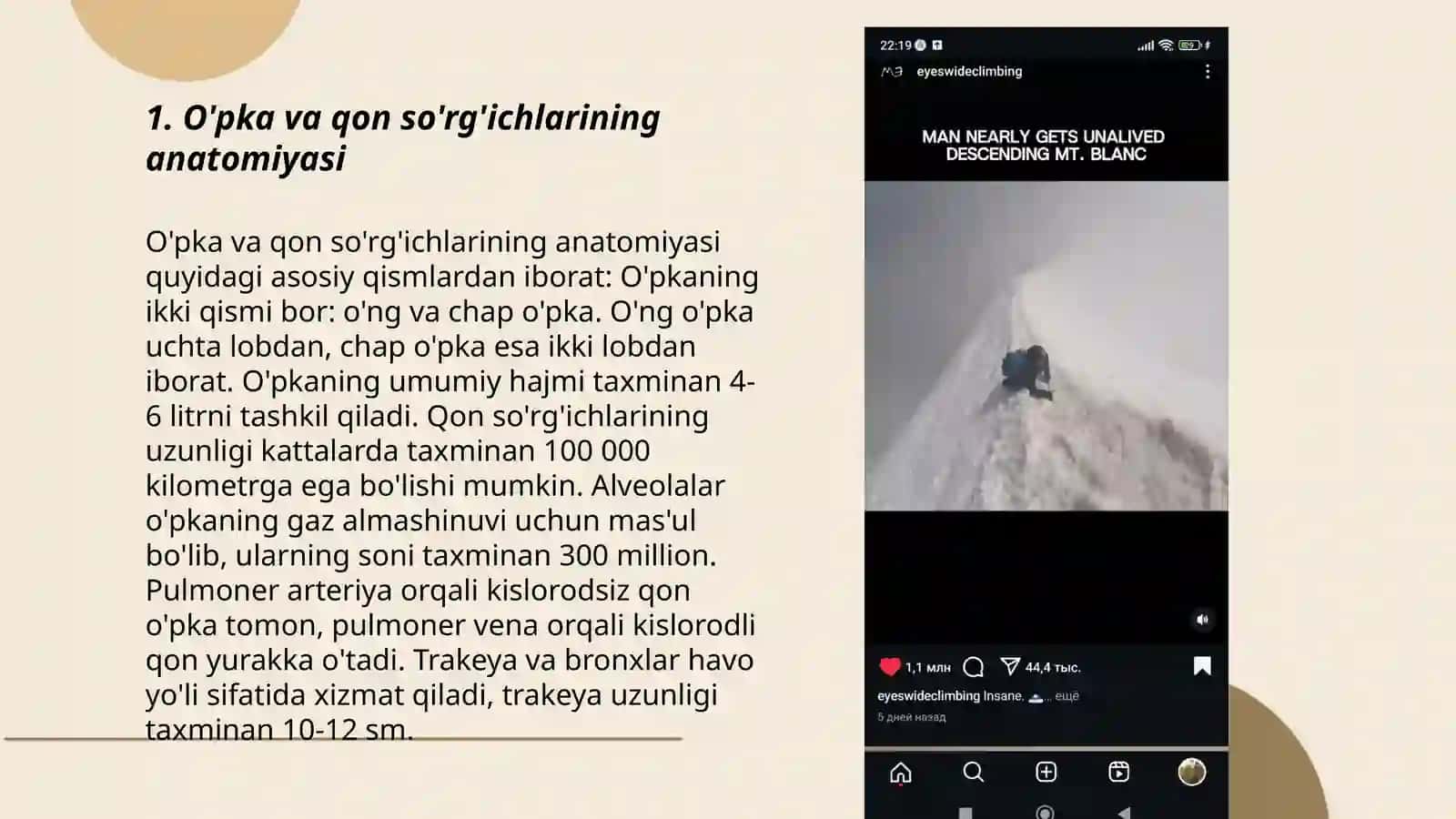 O'pka va qon so'rg'ichlari 3