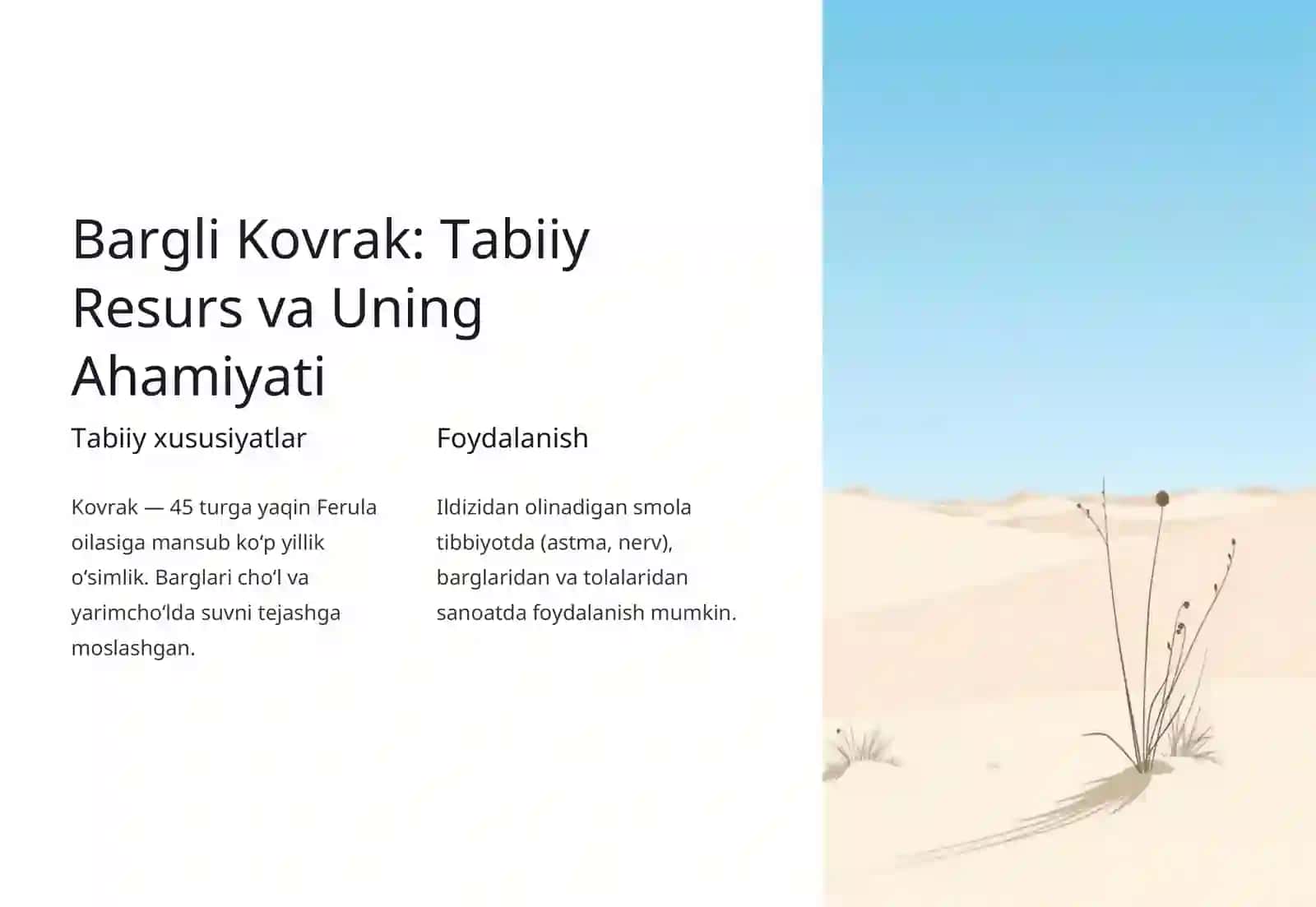 Oʻzgaruvchan Bargli Kovrakni Yetishtirish Texnologiyasi 3