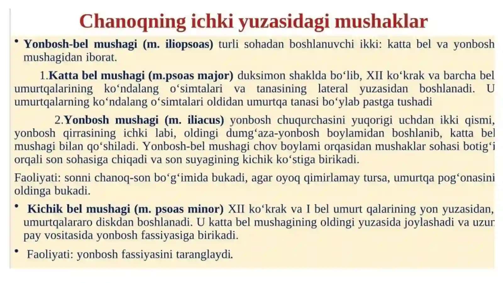 Oyoq mushaklari vazifasi 3