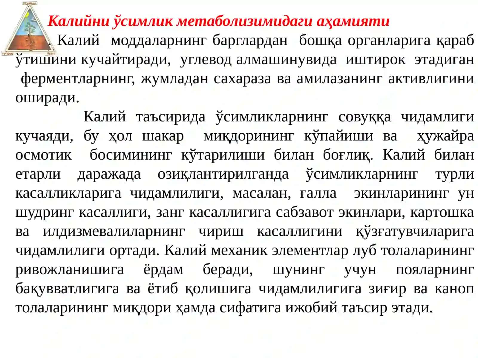 Самарқанд - 2026 3