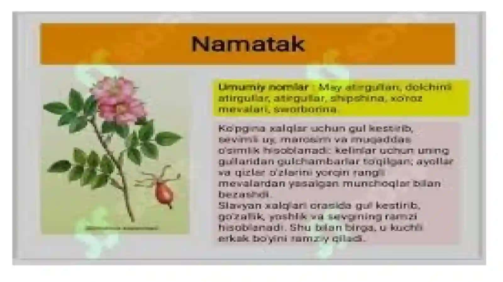 KIRISH. FANNING MAQSADI, VAZIFASI VA AHAMIYATI 3