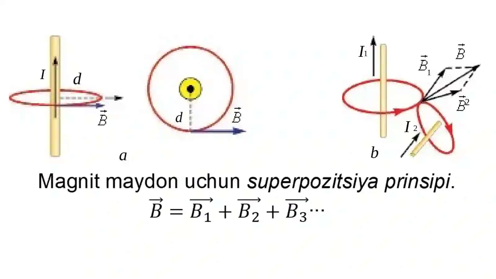 Tokli to‘g‘ri o‘tkazgichning, halqa va g‘altakning magnit maydoni 3