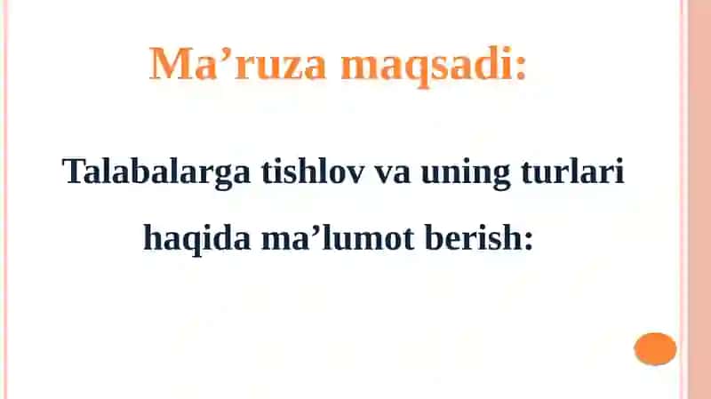 Tishlov 3