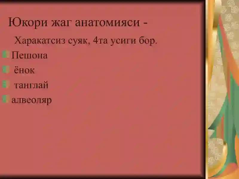Stomatologiyaga oid "Olinmaydigan Tish protezlari va Yuz-jagʻ anato-fiziologik tuzilishi" 3