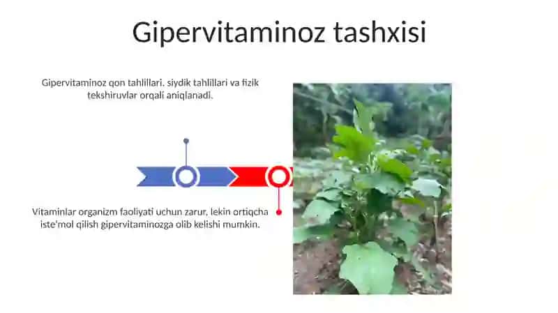 A vitaminozi va giper vitaminozi haqida 3