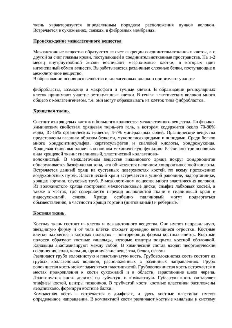 Общая анатомия костной системы 3