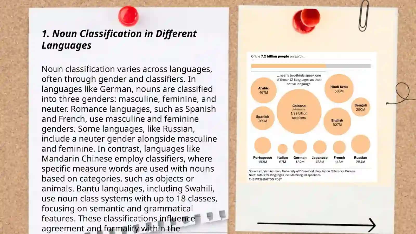 Noun Classification in Different Languages 3