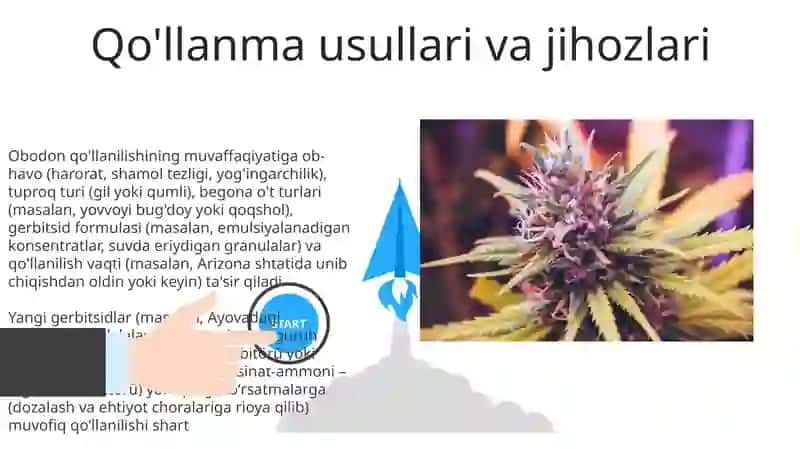 Gerbitsid qo'llash texnikalari 3