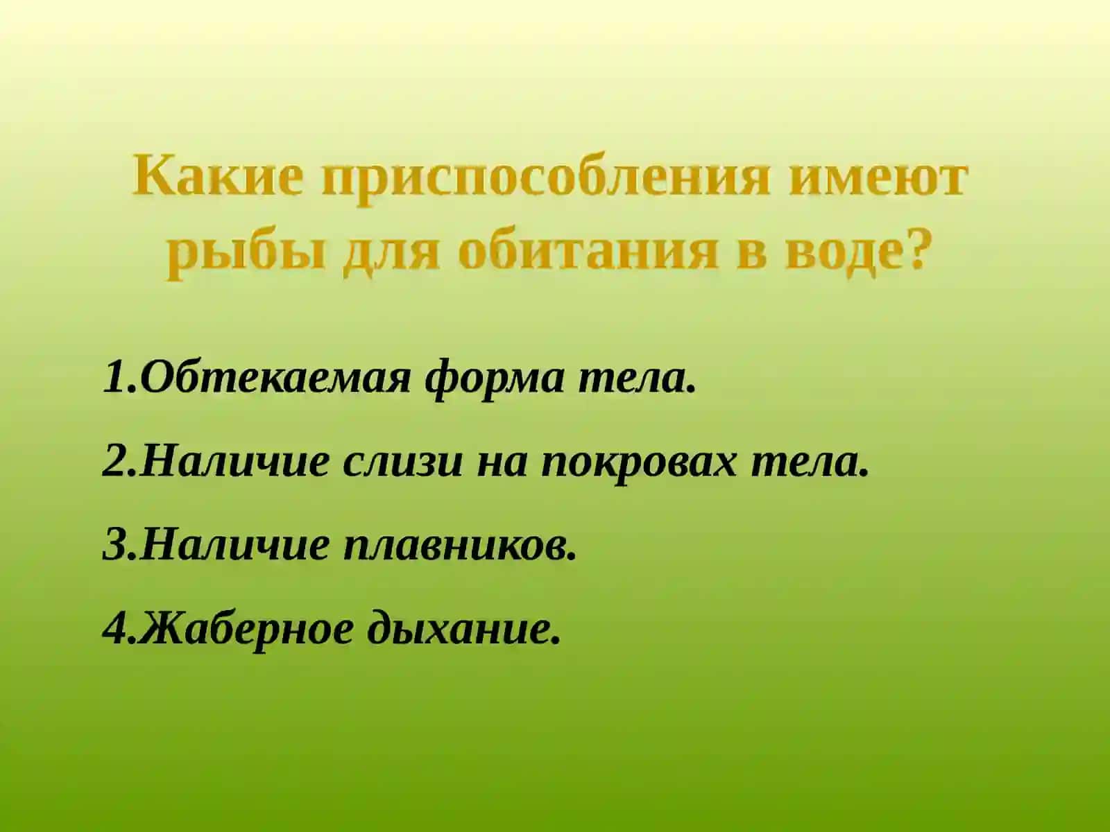 Класс рыб 3
