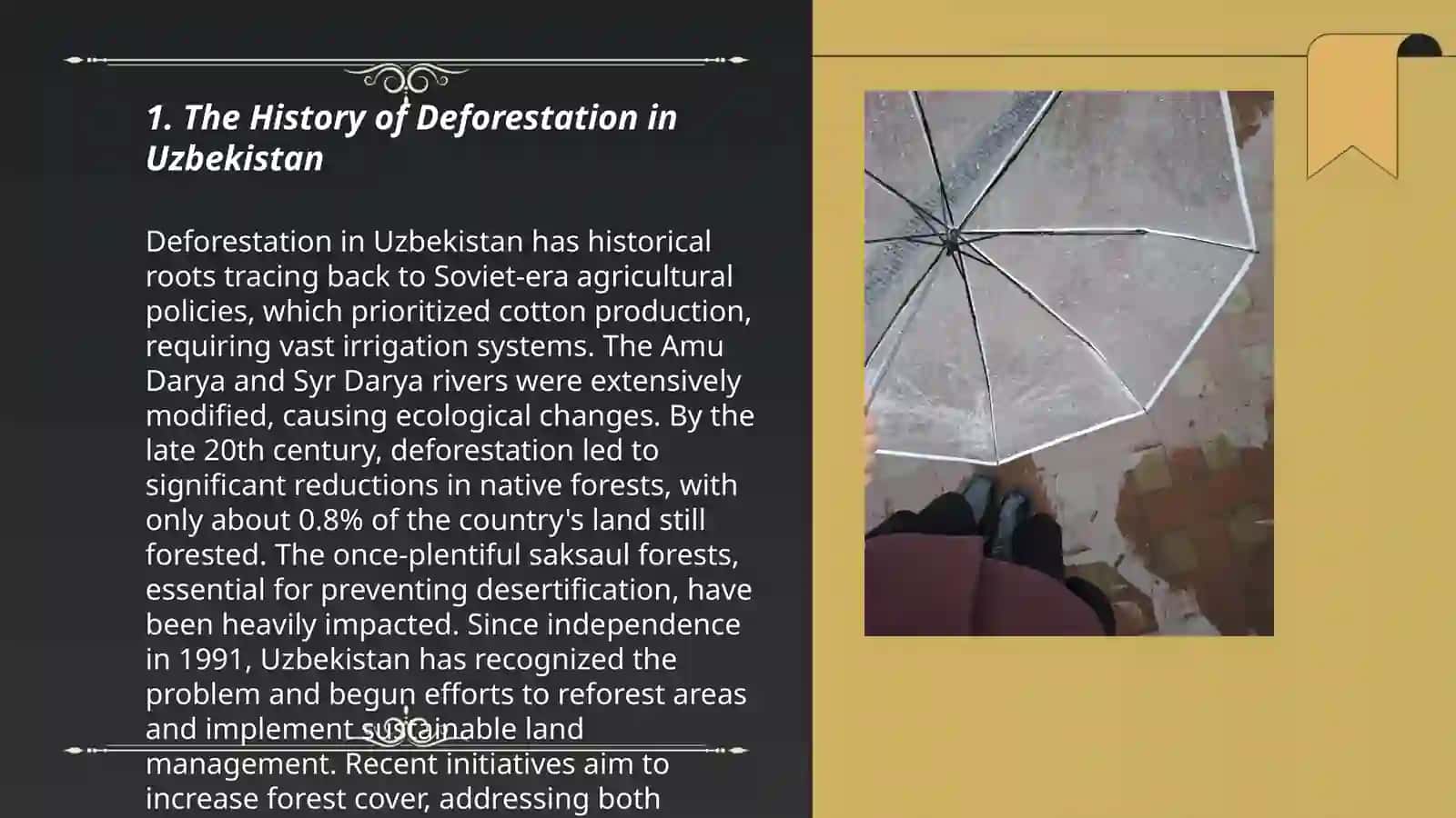 Deforestation in Uzbekistan 3