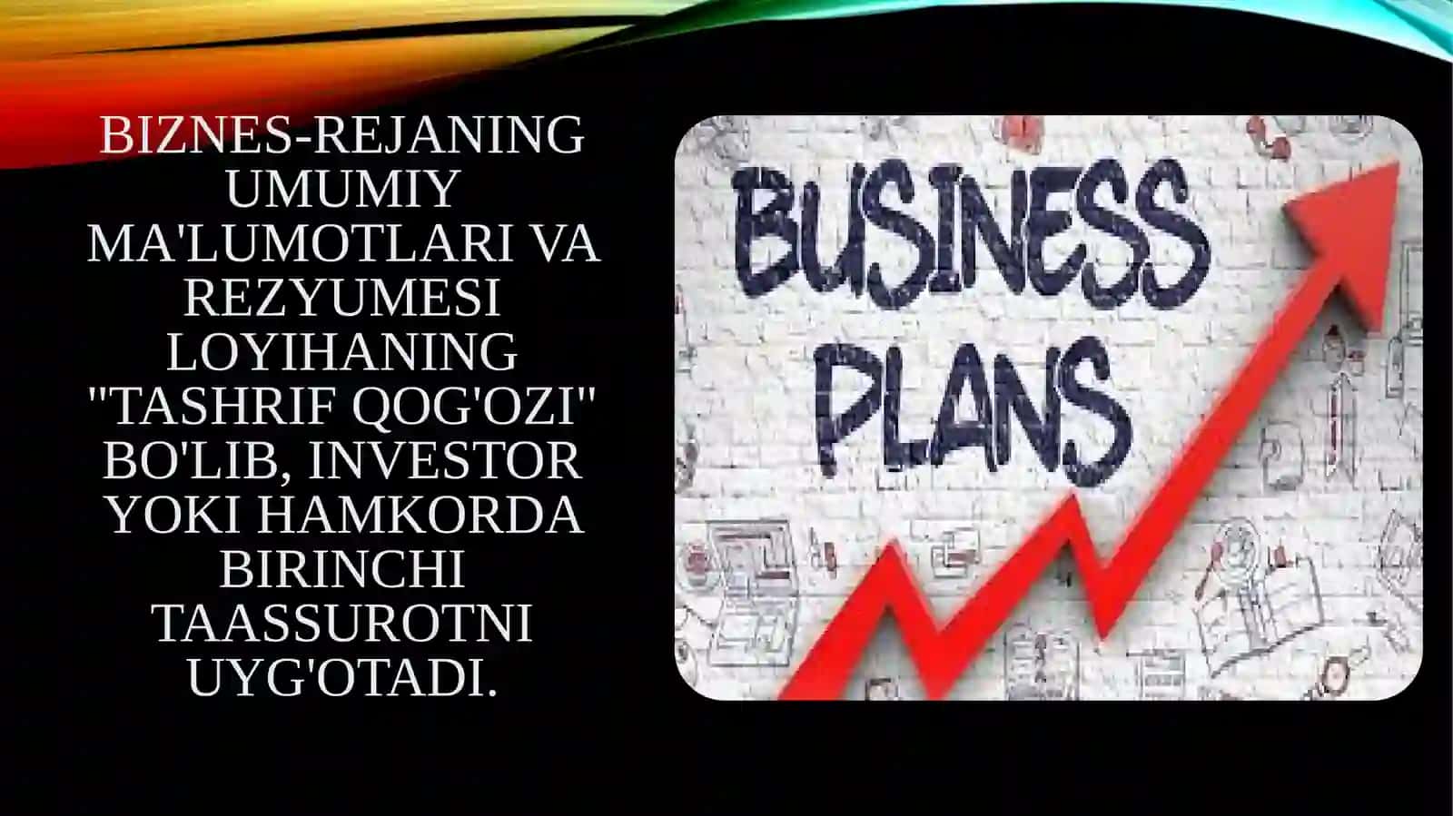 Biznes-rejaning umumiy ma'lumotlari va rezyumesi 3