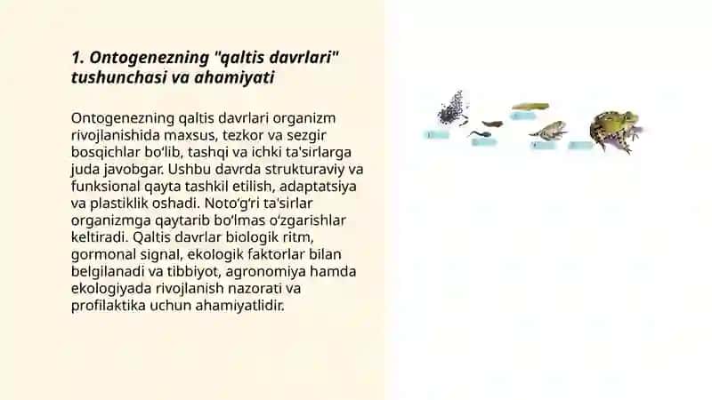 Ontogenezning qaltis davrlari.Postembrional rivojlanish 3