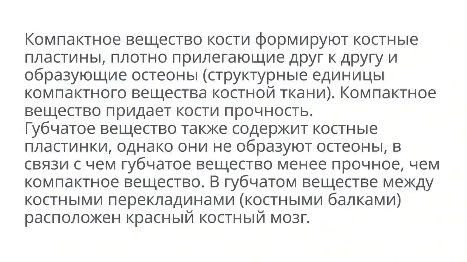 Кости и их соединения 3