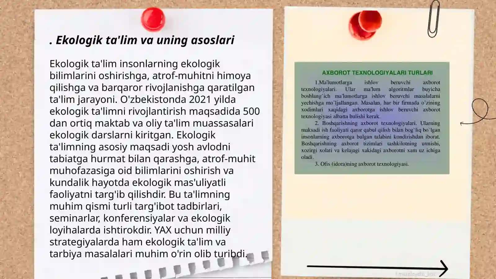 Tabiat bilan tanishtirish tamoyillari 3