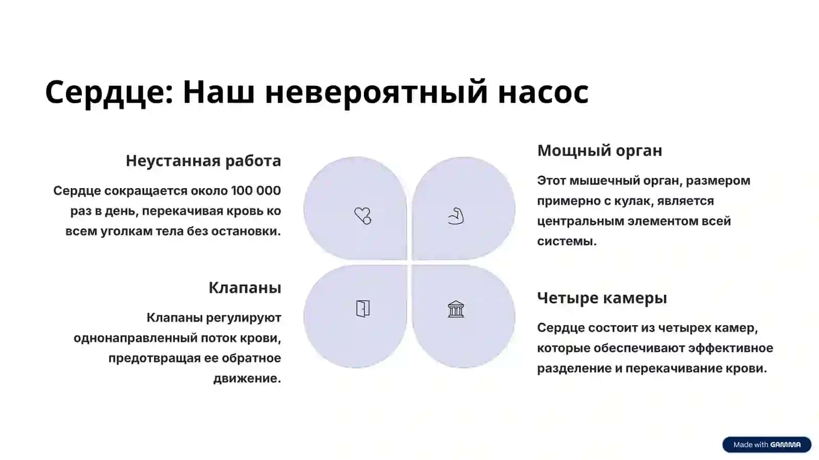 Система кровообращения человека: Загадки и чудеса 3