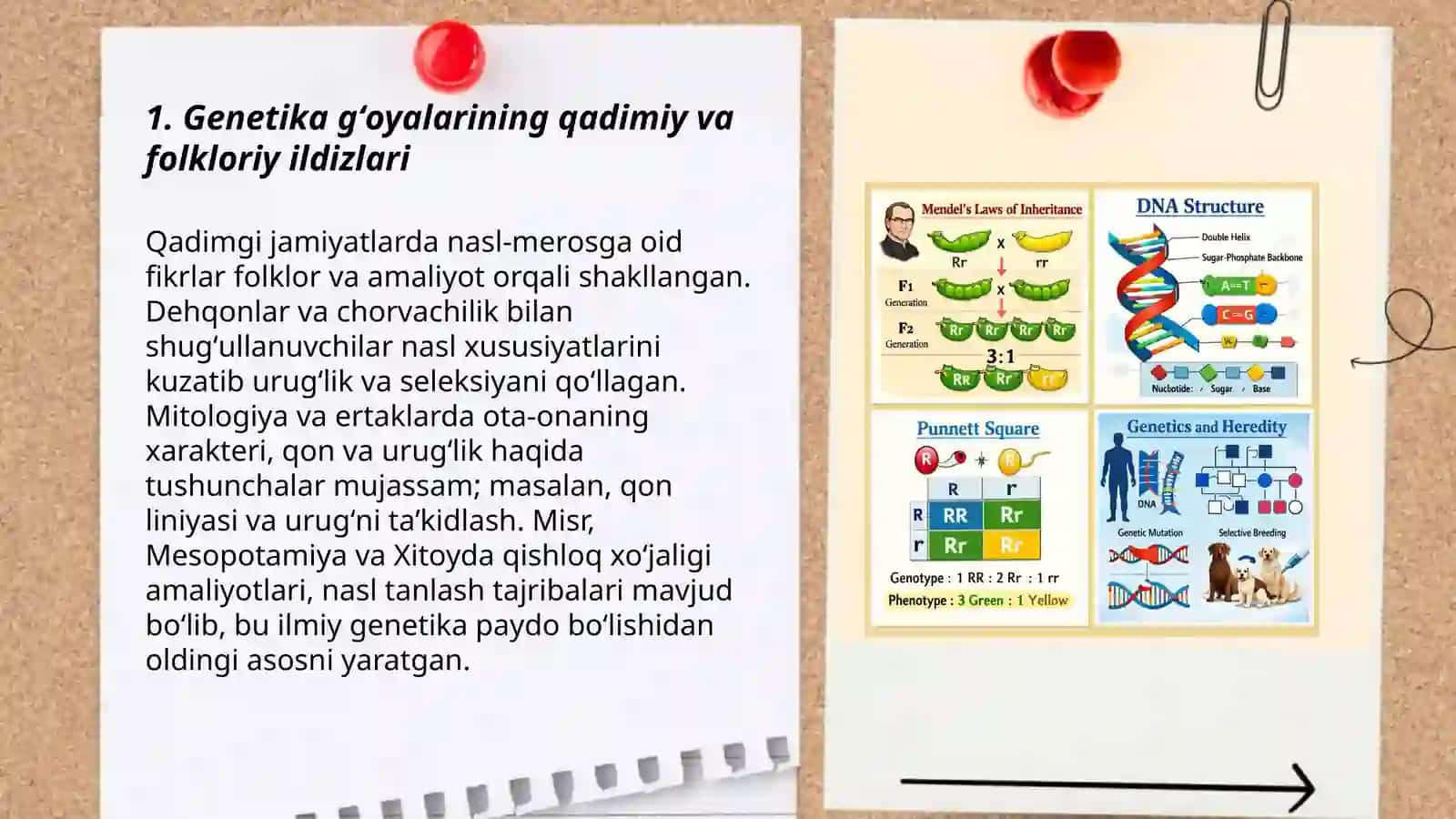 Genetikaning rivojlanish bosqichlari 3