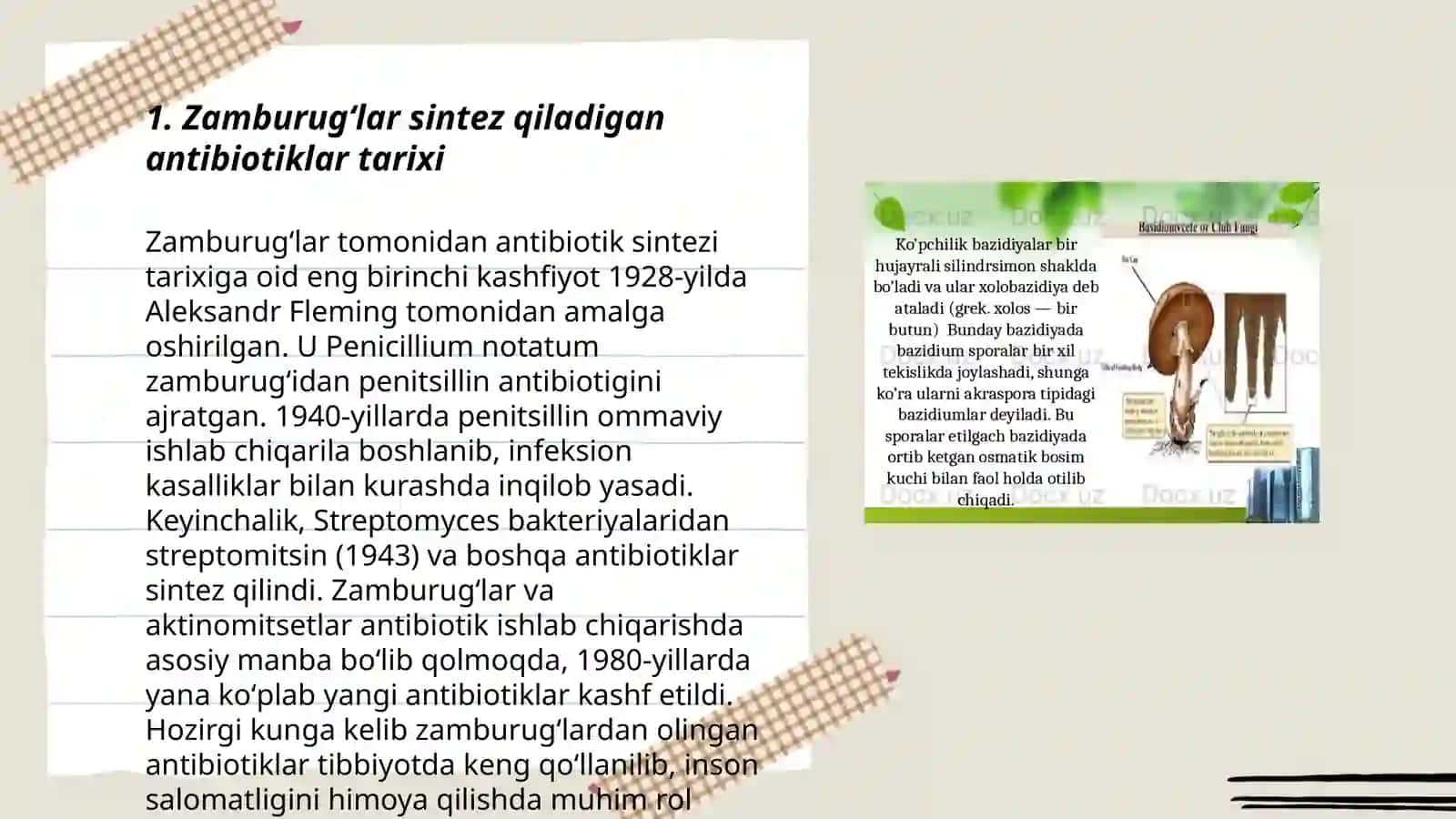 Zamburugʻlar sintez qiladigan antibiotiklar 3