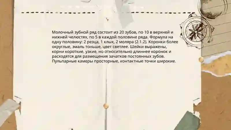 Анатомия и физиалогия молочного временего прикуса 3