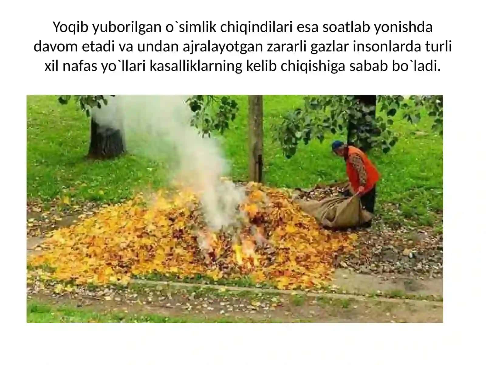 Eco Life jamoasining ekologik loyihasi 3