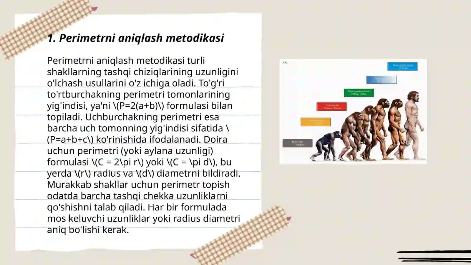 Perimetr va maydon tushunchasi 3
