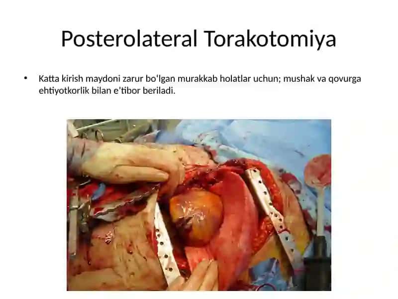 klinik anatomiya fanidan 3