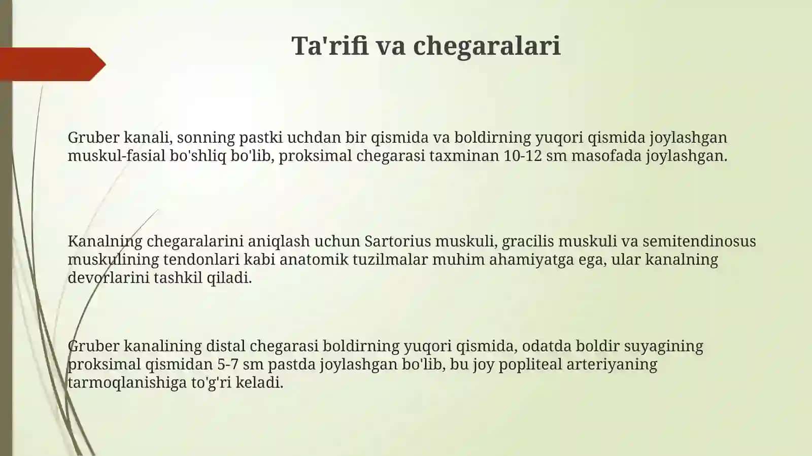 Gruber kanali: Ta'rif, Tuzilishi va Chegaralari 3