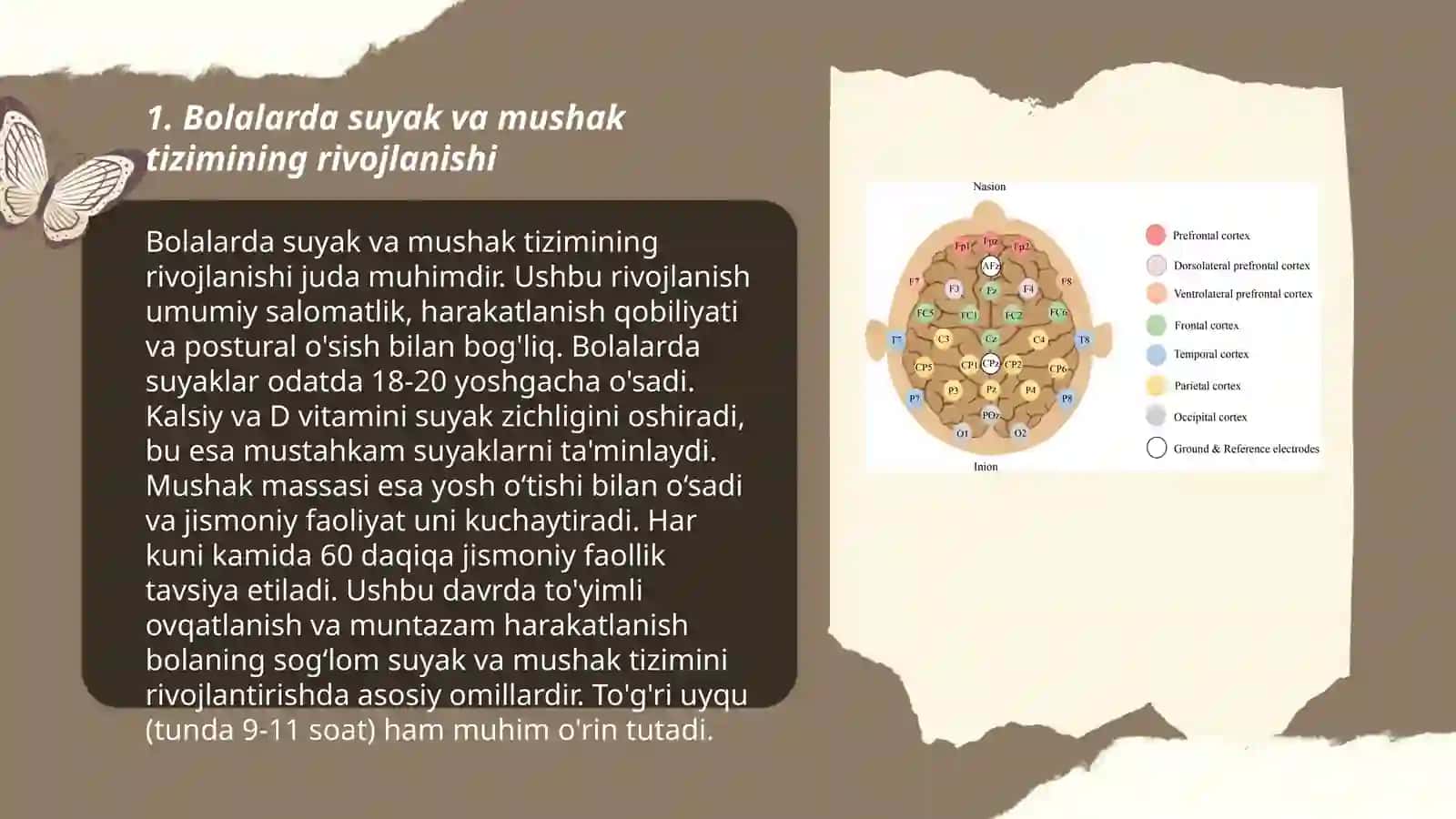 Bolalarda suyak muskul sistemasining anatomo-fiziologik xususiyatlari 3