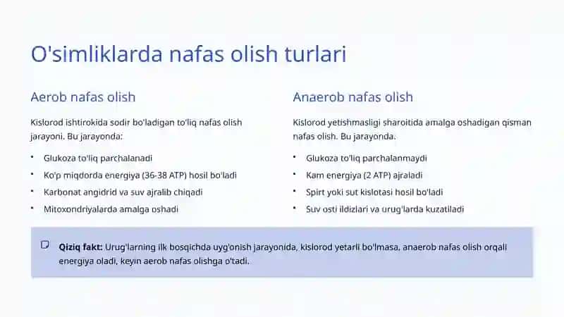 O'simliklarda Nafas Olish: Hayotiy Jarayonning Sirli Dunyosi 3