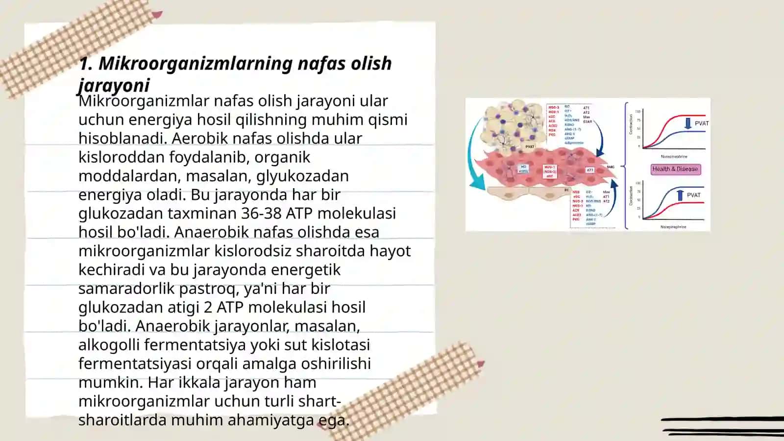 Mikroorganizmlar fiziologiyasi 3