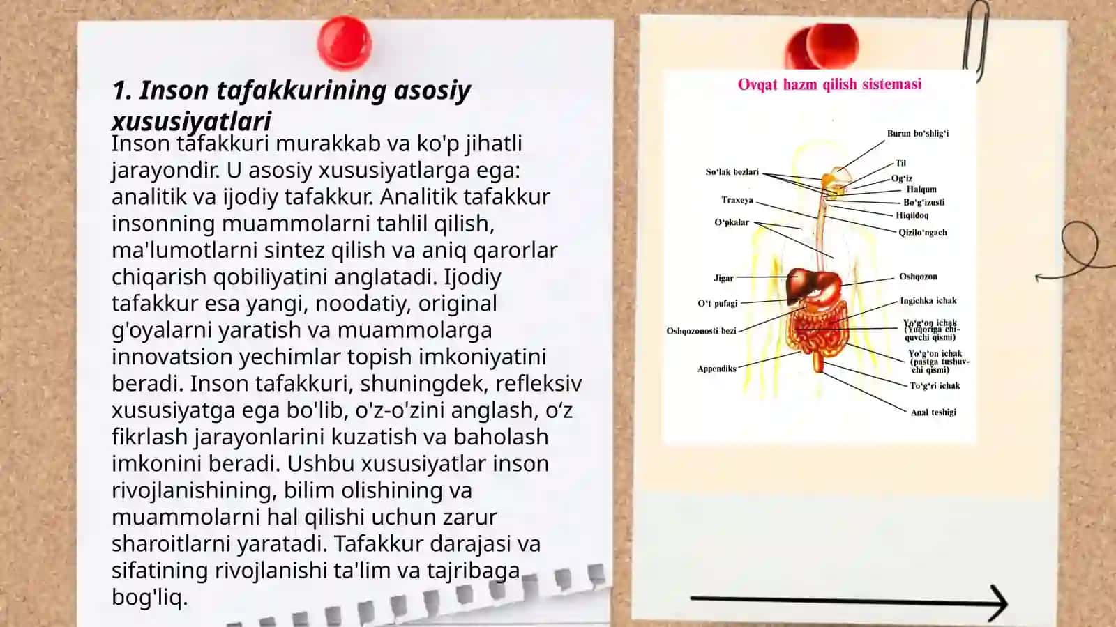 Tafakkuri 3