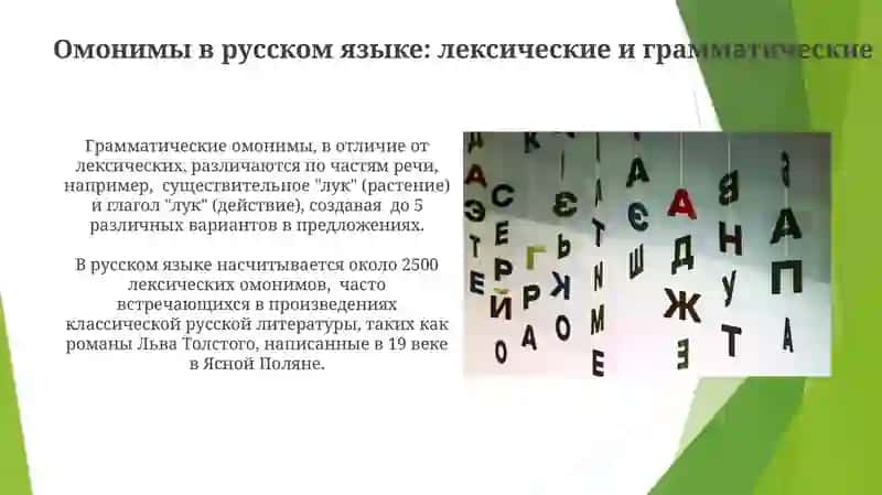 Лексическое богатство русского языка (синонимы, антонимы, омонимы) 3