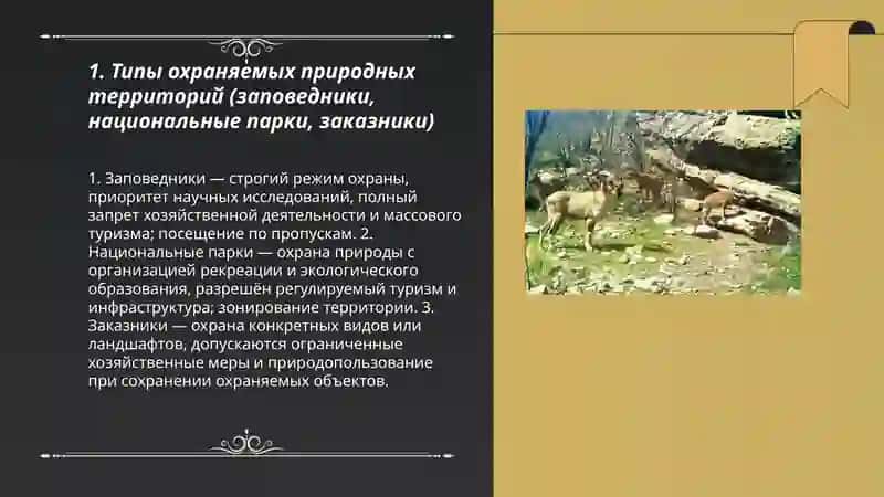Rus tilida qoʻriqxonalar mavzusida 3