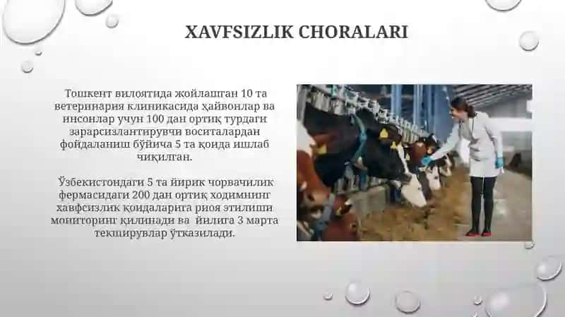 Fermerning Psixologik Qonuni: Tibbiyot va Veterinariyada Asosiy Tushunchalar 3