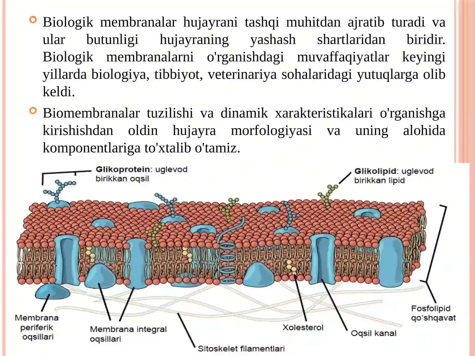 MEMBRANALAR BIOFIZIKASI 3