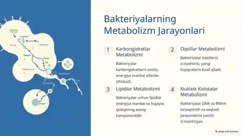 Bakteriyalarning Fiziologiyasi 3