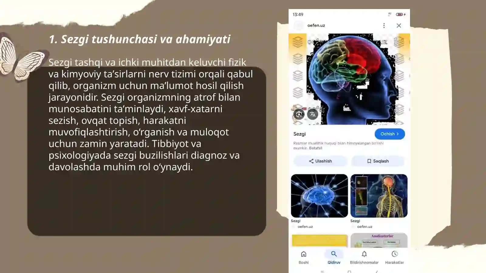 Sezgi haqida tushuncha Sezgi turlari 3