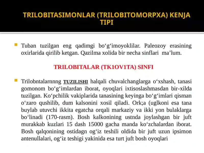 Umurtqasizlar zoologiyasidan tayorlagan 3