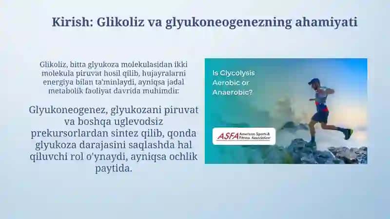 Jigarda glikoliz va glikoneogenezning boshqarishi 3