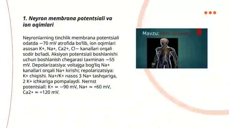 Neyron Membrana Potentsiali va Ion Oqimlari 3