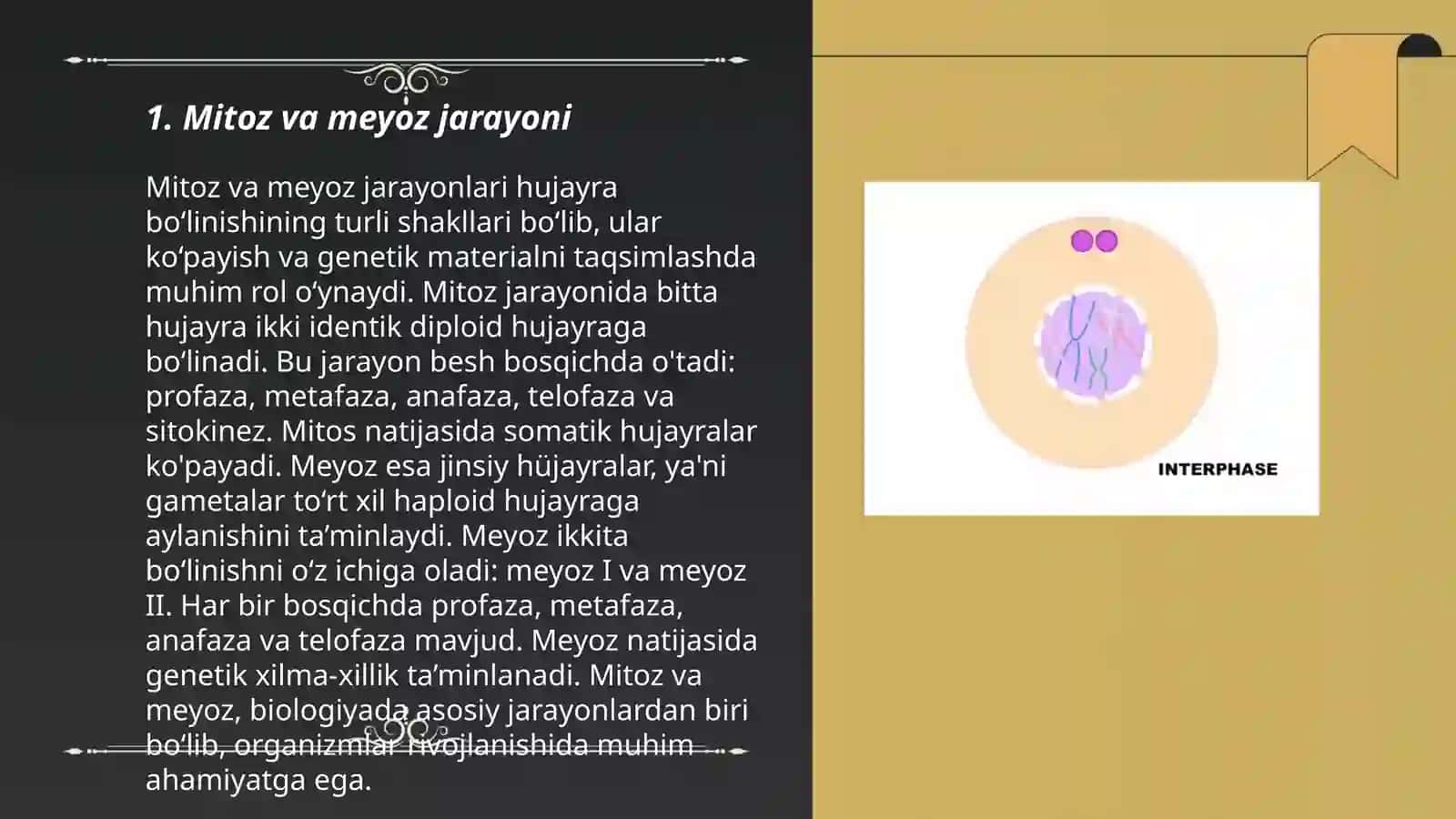 Mitoz va Meyoz 3