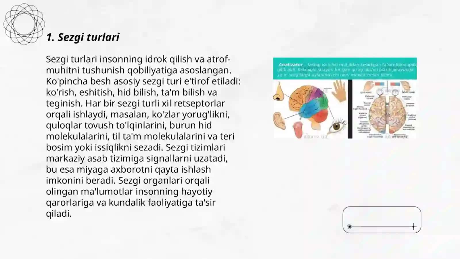Sezgilar klassifikatsiyasi va sezgilarning o'zgaruvchan shakllari 3