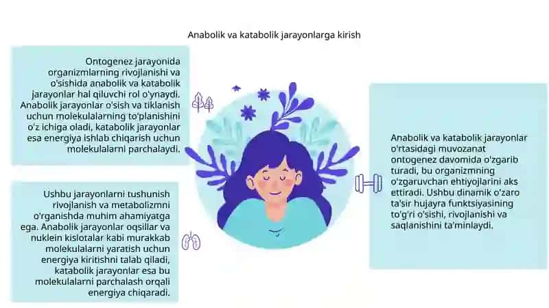 Anabolik va katabolik jarayonlarni ontogenezda òzgarib borishi 3