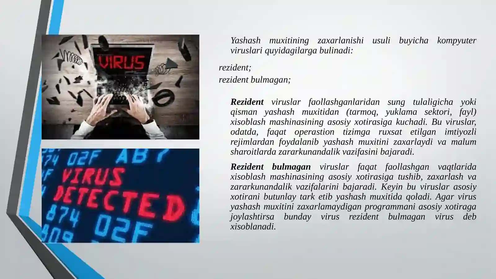 Viruslar haqida tushuncha 3