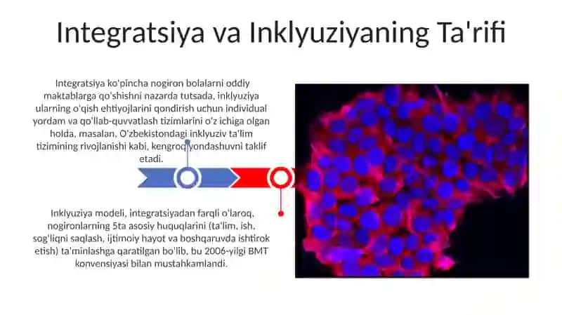 Integratsiya va Inklyuziyaning Taqqoslash Tahlili 3
